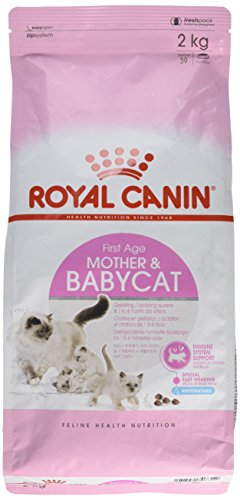 Royal Canin Mother and Babycat Gatte In Gestazione o Lattazione e Gattini da 1 a 4 Mesi di Età