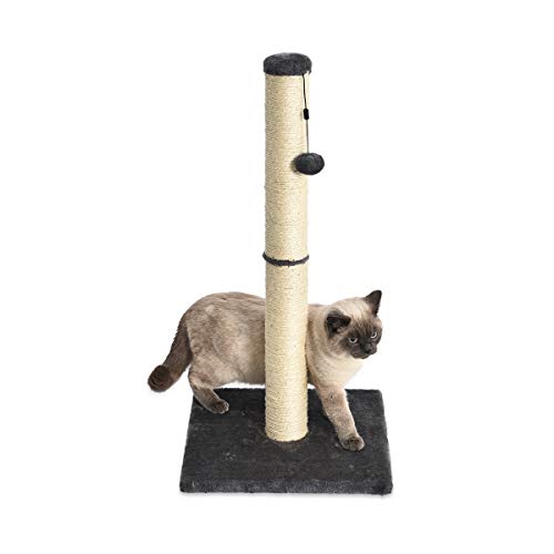 AmazonBasics - Palo tiragraffi per gatti, medio, 40,6 x 40,6 x 81,28 cm, grigio