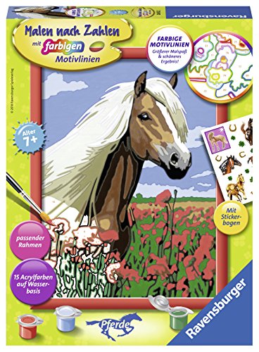 Ravensburger Malen nach Zahlen- Haflinger, Colore Giallo, 28652