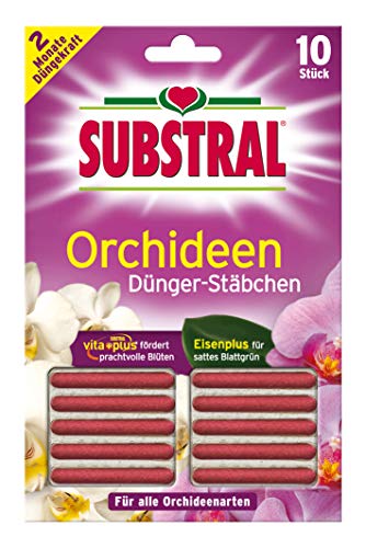 Substral - Fertilizzanti bastoni per Orchidee (10 unità)