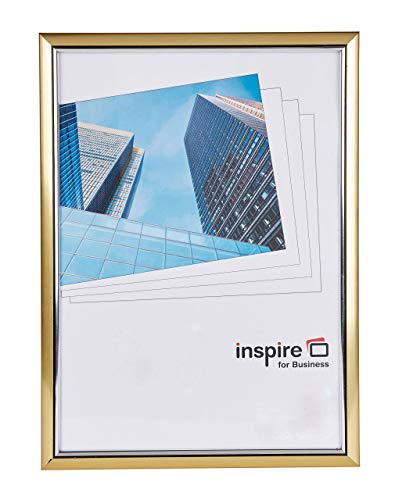 Hampton Frames EASA3GDP - Cornice portafoto in plexiglass, formato A3 (30 x 42 cm)