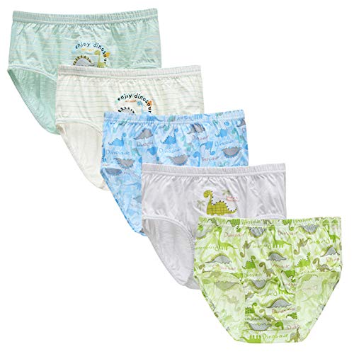 RAISEVERN Cute Little Boys 'Packs 5 Underwear Boy Hipster 3D Chameleon Stampa Slip Pantaloni di Sicurezza Boxer 12-13 Anni