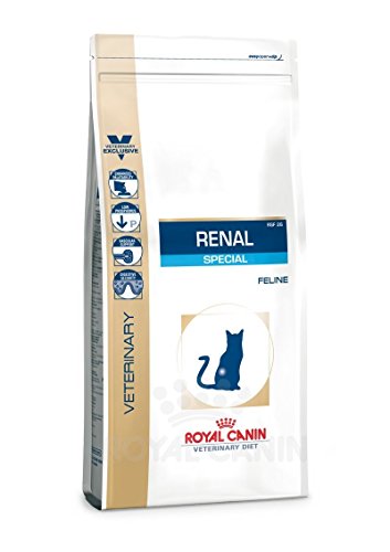 ROYAL CANIN Renal Secco Special Secco Gatto kg. 2