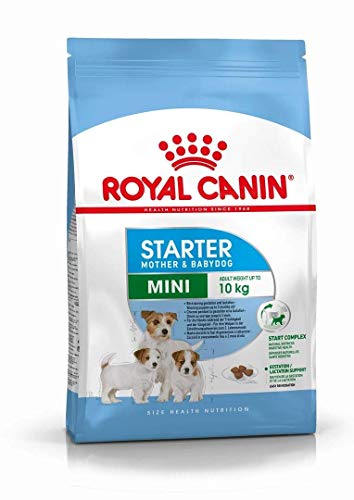 royal canin Mother And Babydog Mini Starter - Cibo per Cani di Piccola Taglia