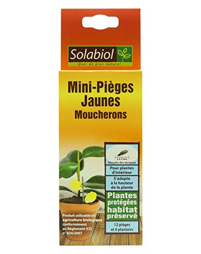 SOLABIOL SOPIFLOR - Mini trappole gialle moscerini per piante da interno, 8 x 2 x 23 cm