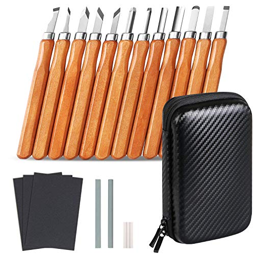 flintronic Wood Carving Tools, 19Pcs Professional Wood Carving Kit, Knife Chisels Carving Handle Expert 12 Pieces + 3 Coti Stones + 3 Sand Papers, 1 Canvas Bag