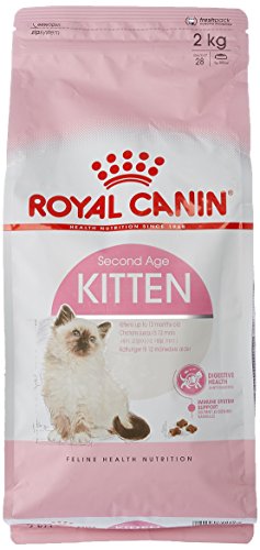 ROYAL CANIN Kitten Secco Gatto kg. 2 - Mangimi Secchi per Gatti Crocchette