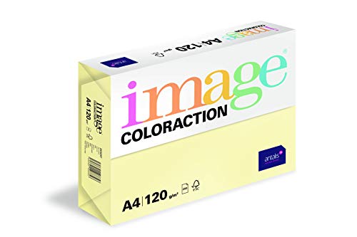 Coloraction 838A 120S 4 Antalis DIN A4, 120 gr/mq- Carta per fotocopie, colore: Giallo deserto
