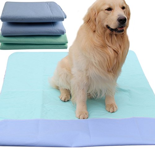 Lavabile Pet pee tappetino imbottito per cani (2 pezzi), 91,4 x 104,1 cm impermeabile riutilizzabile Puppy training Travel Pad da Joydaog
