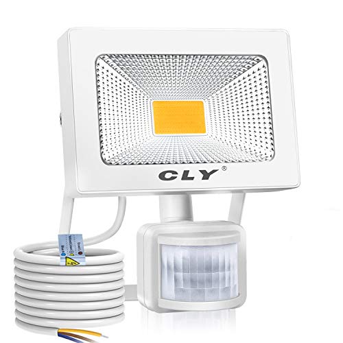 CLY Faretto LED Esterno 30W, 6500K Faro LED Esterno 3000Lumens, Luce di sicurezza, Faretti LED, Luce Bianca Impermeabile IP66 per Giardino Cortile Garage Piazza
