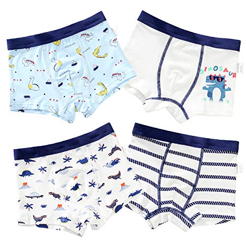 RAISEVERN Pantaloni di Sicurezza Dinosauri con Stampa di Cartoni Animati Cute Little Boys 'Packs Underwear Boy Hipster Boy Knickers Boy Slip 2-3 Anni