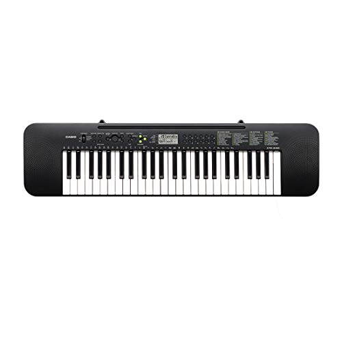 Casio CTK-240 - Tastiera Pianoforte Digitale a 49 Tasti, 100 Timbri, 100 ritmi e 50 Brani, Nero