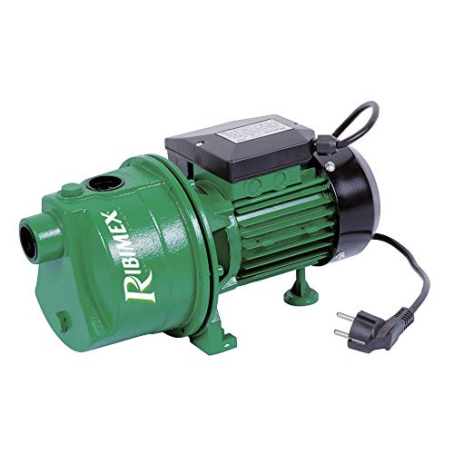 Pompa di superficie JET61 600W