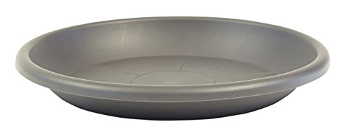 vaso da fiori greemotion coaster antracite - fiori piattino con diametro di 19 cm altezza 2,4 cm - montagne di fioriere in plastica - sottobicchieri di piante tondi - piattino di piante