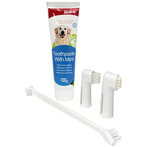 PetSol Care Kit Dentale per Cani Migliora Orale Gum Igiene previene Le malattie e Targa (Mint)