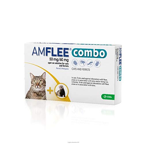 Amflee Combo Spot-on Soluzione 1 Pipetta 50 MG + 60 MG Gatti e Furetti