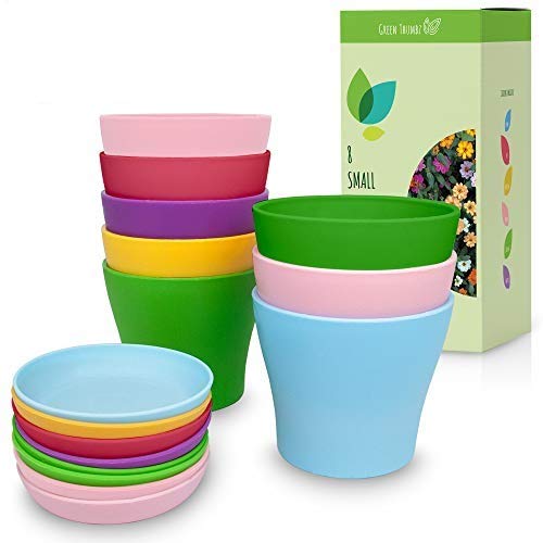 Green Thumbz Vasi Colorati piantine, vasi di plastica per Interni, Esterni, Set di vasi con vassoi Colorati (8 vasi) (Small)