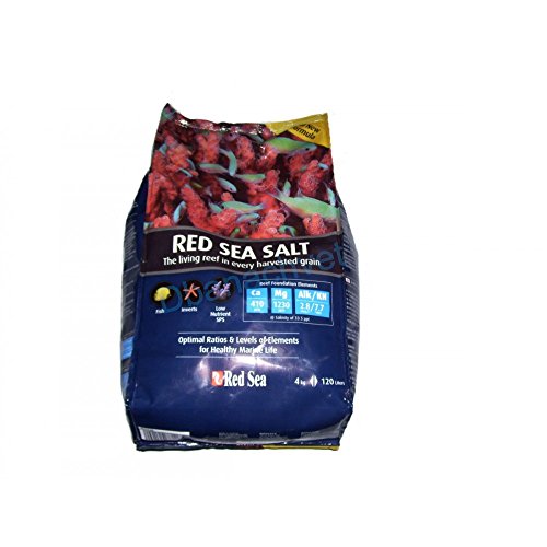 Red Sea Sale - 4 kg