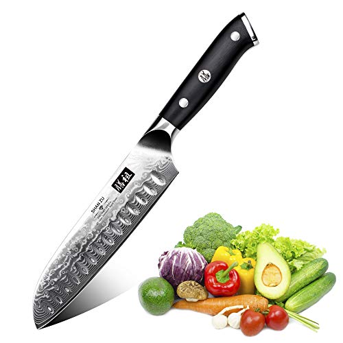 SHAN ZU Coltello di Damasco Coltello Santoku Giapponese Acciaio da 67 Strati- PRO Series