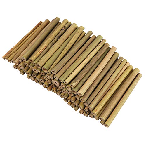 Bastoncini di Legno per Lavoretti - Bastoncini Legno Bamboo Confezione da 100 per Bambini e Adulti - Bastoncini Bamboo per Modellismo, Collage, Decorazione e Artigianato Fai-da-Te - Legnetti Bricolage
