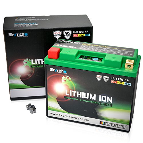 Skyrich HJT12B-FP batteria ricaricabile industriale Litio 12 V