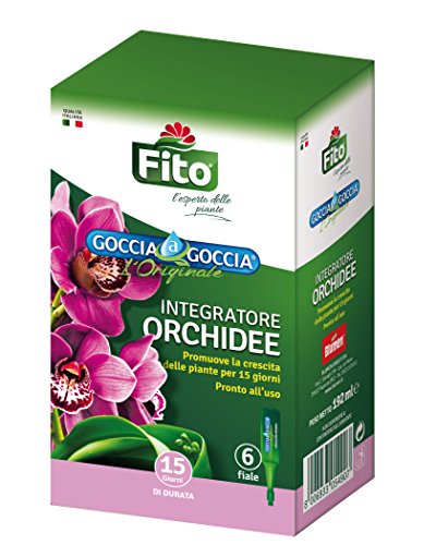 Fito X101001 Goccia Orchidee, Verde, 8.1x5.6x14 cm