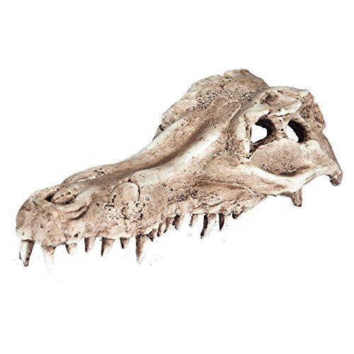 Pet Ting Alligator Skull acquatiche Ornamento – Decorazione Acquario – Vivarium Decorazione