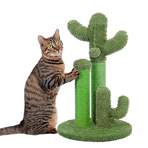 PAWZ Road Cactus Colonne Tiragraffi per Gatti, Tiragraffi a Forma di Cactus con Palla appesa e Base Robusta per Gatti, Fondo Verde 53cm (Taglia M)