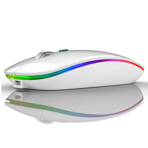 Mouse Wireless Ricaricabile, Coener 2,4G Ultra Sottile Mouse Silenzioso Portatile Ottico Senza Fili con Nano Ricevitore e Tipo-c 3 Livelli DPI Regolabile per Notebook, PC, Laptop, MacBook (Bianco)