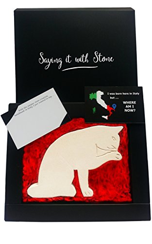 Gatto che si lecca - Fatto a Mano in Italia - Simbolo di Pazienza Indipendenza Curiosità e Spirito d'Avventura - Confezione Regalo & Bigliettino in Bianco Incl - Con Frammenti Fossili - San Valentino