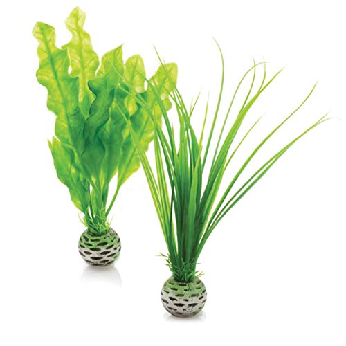 Reef One BiOrb Easy Plants Bulbi di Erba Corta, 2 Pezzi