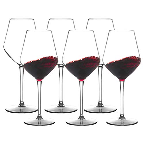 Michley Infrangibile Tritan Calici da Vino Rosso Plastica Dura, Bicchiere Vino da Campeggio da Viaggio BPA-Libera, 440 Ml (15 Oz) Set di 6