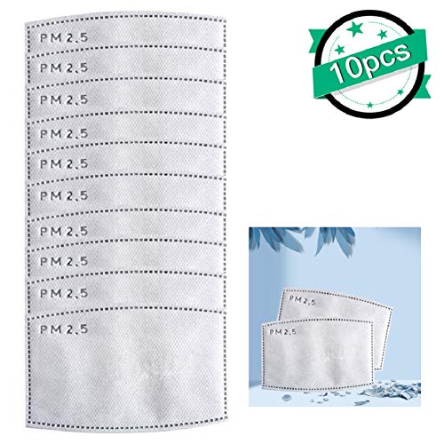 PM2.5 Replaceable Filters for Adult (10 PCS