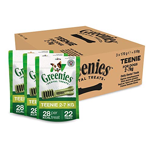Greenies snack per l'igiene orale per cani di taglia mini  (2-7 kg), confezione da 3 x 170 gr