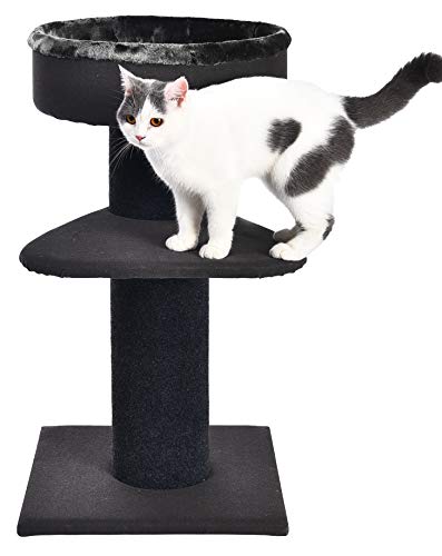 AmazonBasics - Albero per gatti a due livelli, con piattaforma rigida, 48,26 x 48,26 x 86,36 cm, nero