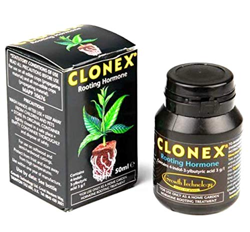 Clonex - Ormone della crescita per le radici, in gel, da 50 ml