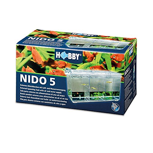 Hobby 61390 Nido 5
