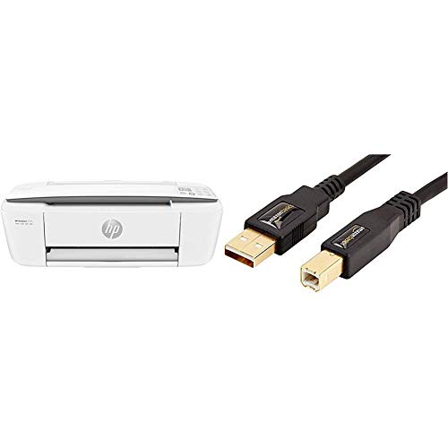 HP 3750 DeskJet Stampante Multifunzione a Getto di Inchiostro, Stampa, Scannerizza, Fotocopia, Wi-Fi, Wi-Fi Direct, Grigio Perla & AmazonBasics - Cavo USB 2.0 maschio A/maschio B (3 m)
