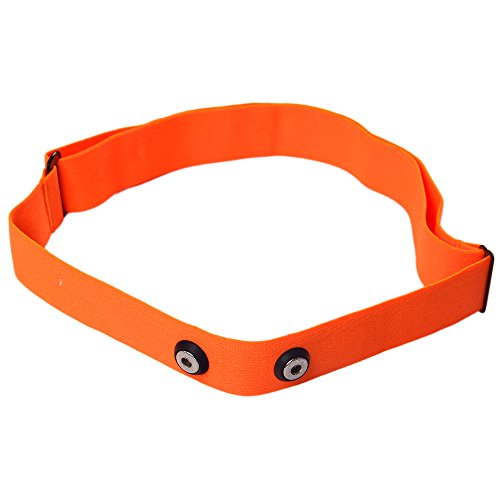 Winwill regolare cinghia fascia per Garmin Wahoo Polar sport cardiofrequenzimetro, Orange