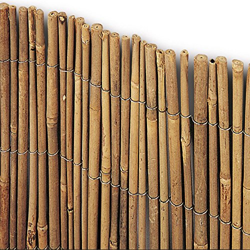 VERDELOOK Arella Time in cannette di bamboo 3x1 m, bambù recinzioni decorazioni