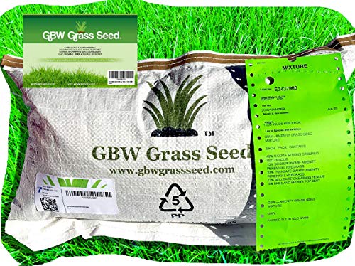 1kg Semi di erba da giardino di Alta Qualità per 35mq – Crescita rapida e resistente prato seminale - Eccezionale grado di tolleranza d’acqua - 100% Garanzia soddisfatti o rimborsati