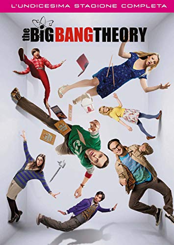 The Big Bang Theory - Stagione 11 (DVD)