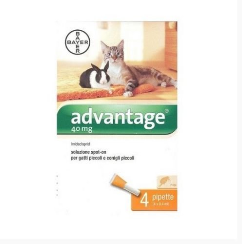 Bayer Advantage ANTIPULCI per Gatti sotto I 4 kg ANTIPARASSITARIO FIALETTE