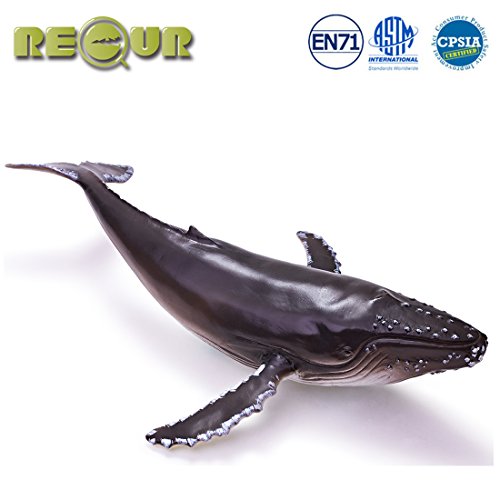 RECUR Humpback Whale Figure Giocattoli Morbida Pelle Dipinta a Mano Texture Collezione di Figurine di squalo Design Realistico Ideale per Collezionisti, età 3+