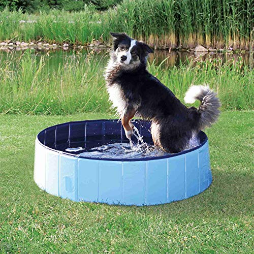 Trixie 39481 Piscina per Cani, di Colore Azzurro
