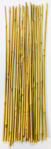 Mendi 20 canne di bambu. 75 cm - ø 8/10 mm
