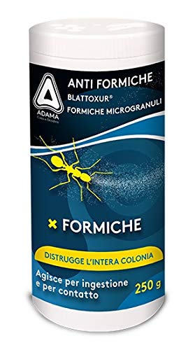 adama Blattoxur® Formiche Microgranuli 250 g insetticida elimina l'intera Colonia