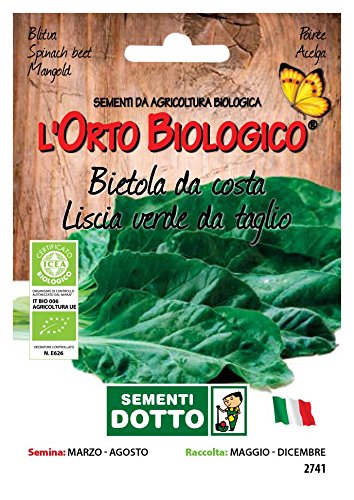 Sdd O.Bio_Bieta Verde Liscia da Taglio Seme, 0.02x15.5x10.8 cm