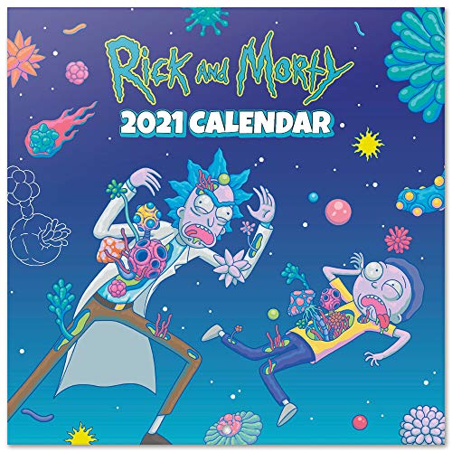 Grupo Erik Calendario 2021 da Muro Rick & Morty, 12 mesi, include poster regalo rick and morty, 30x30 cm