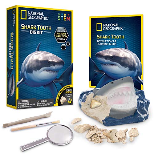 National Geographic - Kit di Scavo Dente di Squalo